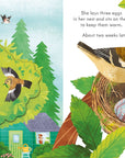 Usborne Peep Inside Springtime - Interaktív könyv
