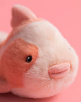 Jellycat Fancy Carp - Koi díszponty