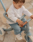 Little Dutch Parent-Steered Tricycle - Blue