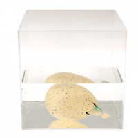 Rex London® Óriás keltető dinoszaurusz tojás - Prehistoric Land - Rex London - Apró kincsek - OduStore