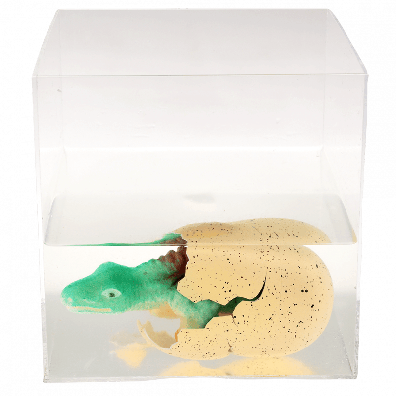 Rex London® Óriás keltető dinoszaurusz tojás - Prehistoric Land - Rex London - Apró kincsek - OduStore