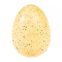 Rex London® Óriás keltető dinoszaurusz tojás - Prehistoric Land - Rex London - Apró kincsek - OduStore