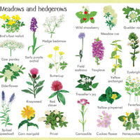 Usborne® 199 Flowers - Usborne - könyv - OduStore