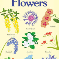 Usborne® 199 Flowers - Usborne - könyv - OduStore