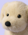 Jellycat Golden Puppy - Kutyus