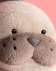 Jellycat Roarwell Sea Lion - Oroszlánfóka