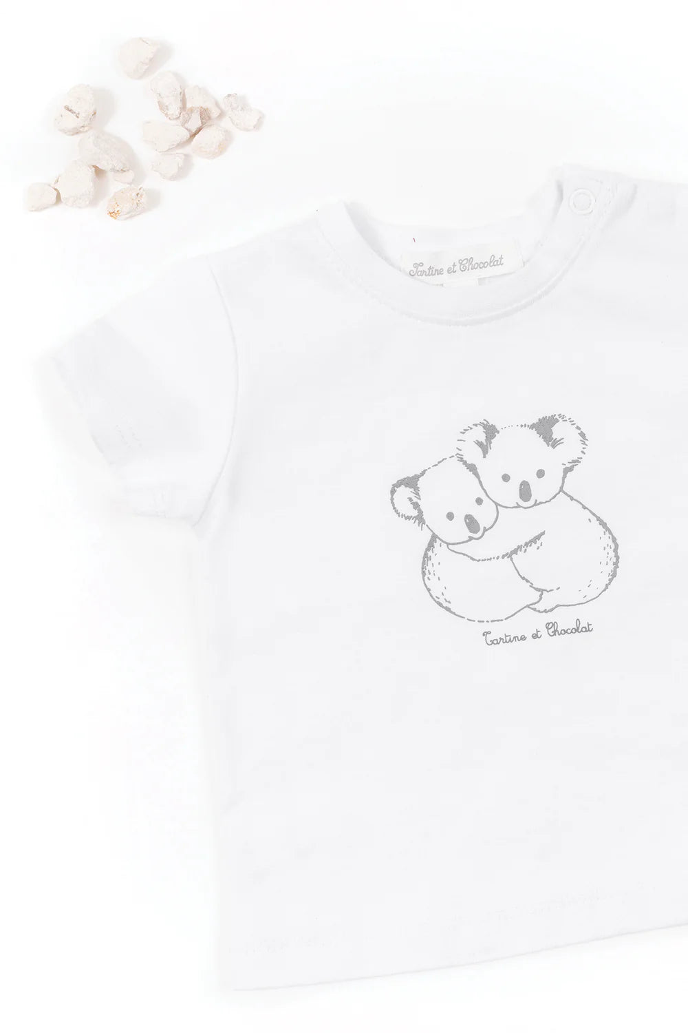 Tartine et Chocolat Short Sleeve T-Shirt - White Koala - 1m
