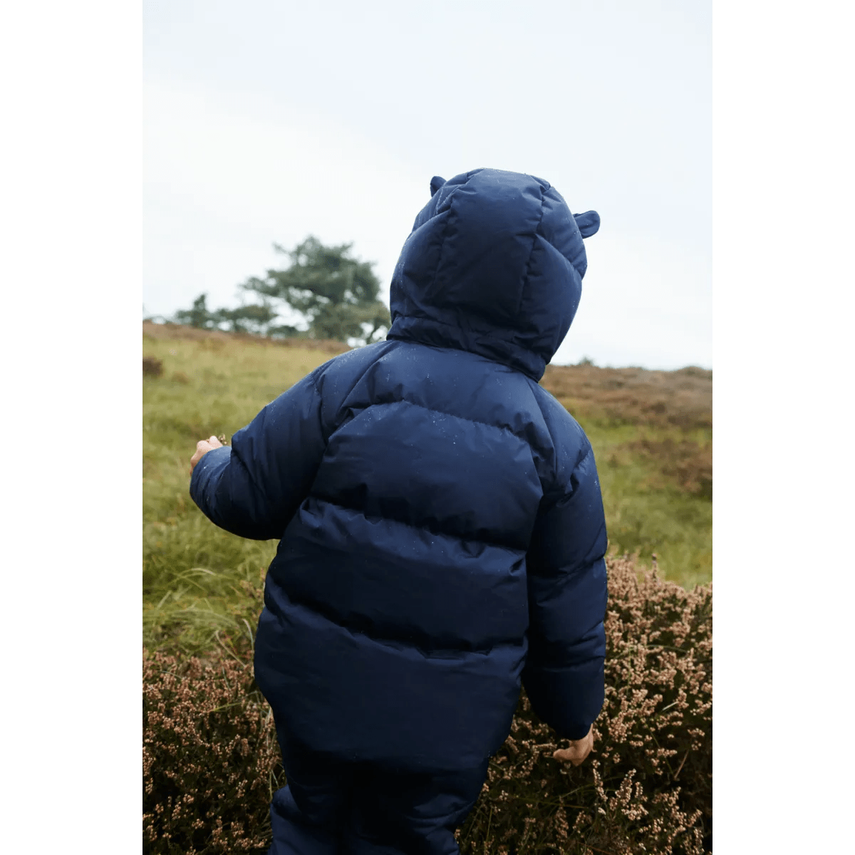 Liewood® Polle Down kabát - Classic navy - Liewood - Felsőruházat - OduStore