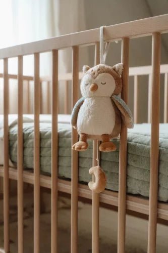 Little Dutch® Felhúzható zenélő bagoly - Forest Freinds - Little Dutch - Babajátékok - OduStore