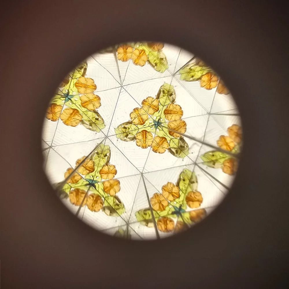 Little Dutch® Kaleidoszkóp - Forest Friends - Little Dutch - Gyerekjátékok - OduStore