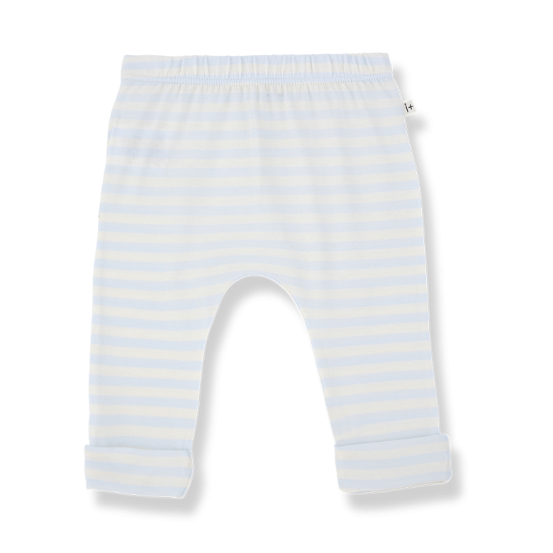 1+ in the family Saul Leggings