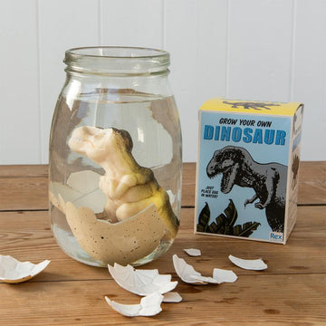 Rex London® Óriás keltető dinoszaurusz tojás - Prehistoric Land - Rex London - Apró kincsek - OduStore