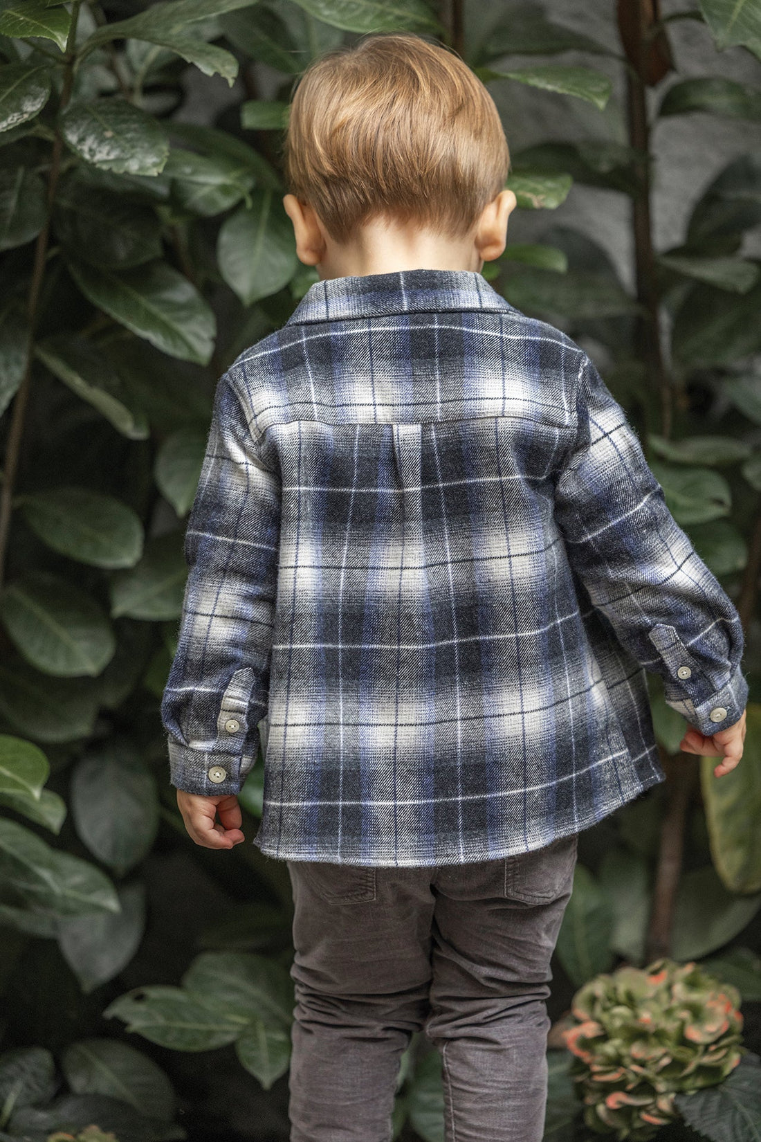 Tartine et Chocolat® Chemise Gris à carreaux coton Ing - Tartine et Chocolat - Pólók, ingek - OduStore