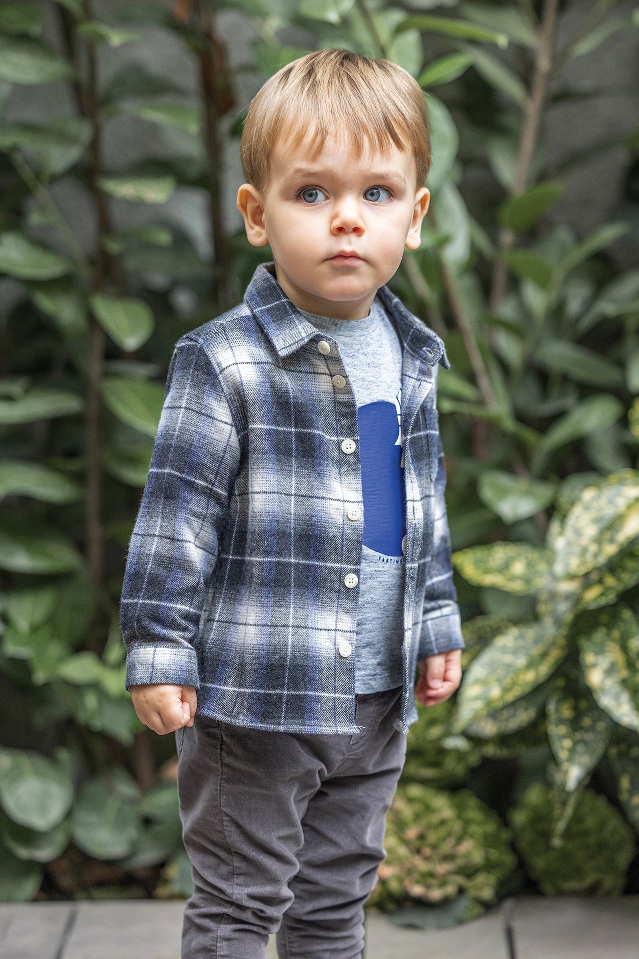 Tartine et Chocolat® Chemise Gris à carreaux coton Ing - Tartine et Chocolat - Pólók, ingek - OduStore