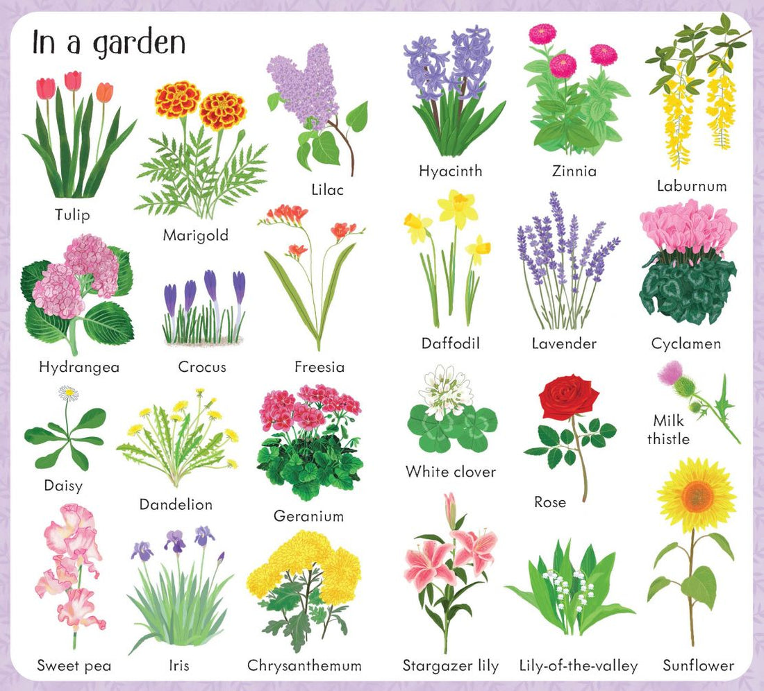Usborne® 199 Flowers - Usborne - könyv - OduStore