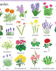 Usborne® 199 Flowers - Usborne - könyv - OduStore