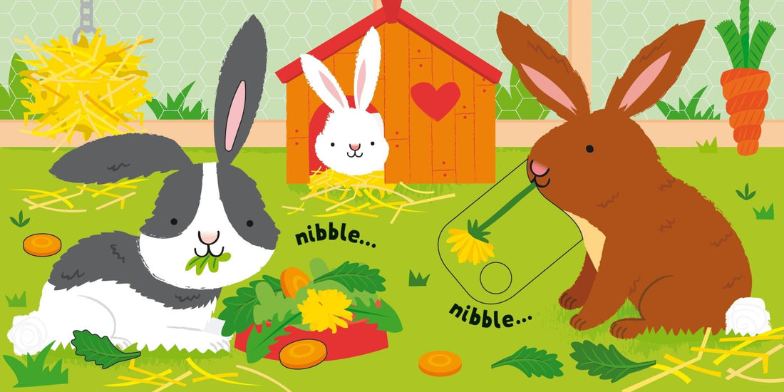 Usborne® Baby's Very First Slide and See - Pets - Usborne - Könyv - OduStore