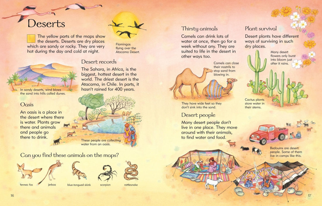 Usborne® Children's Picture Atlas - Usborne - Könyv - OduStore
