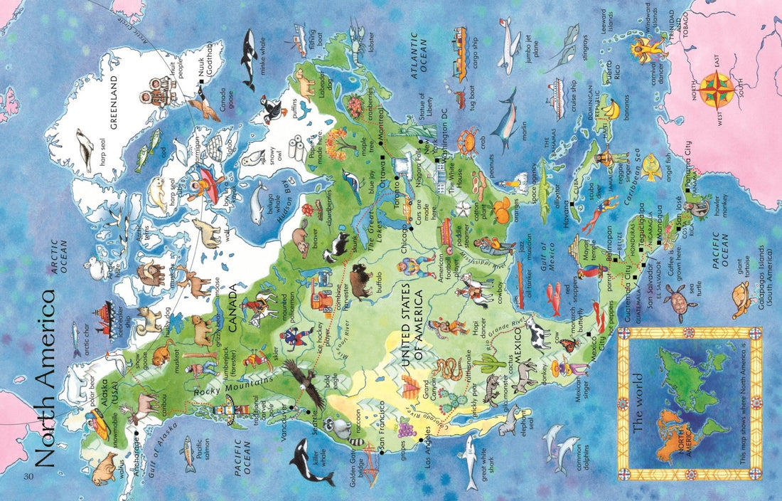 Usborne® Children's Picture Atlas - Usborne - Könyv - OduStore