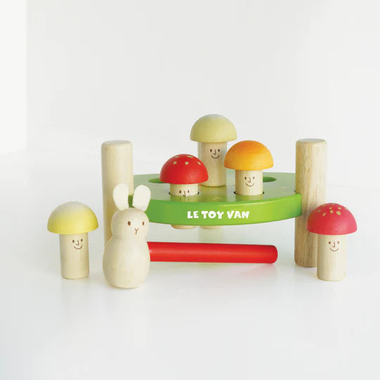 Mr. Mushrooms