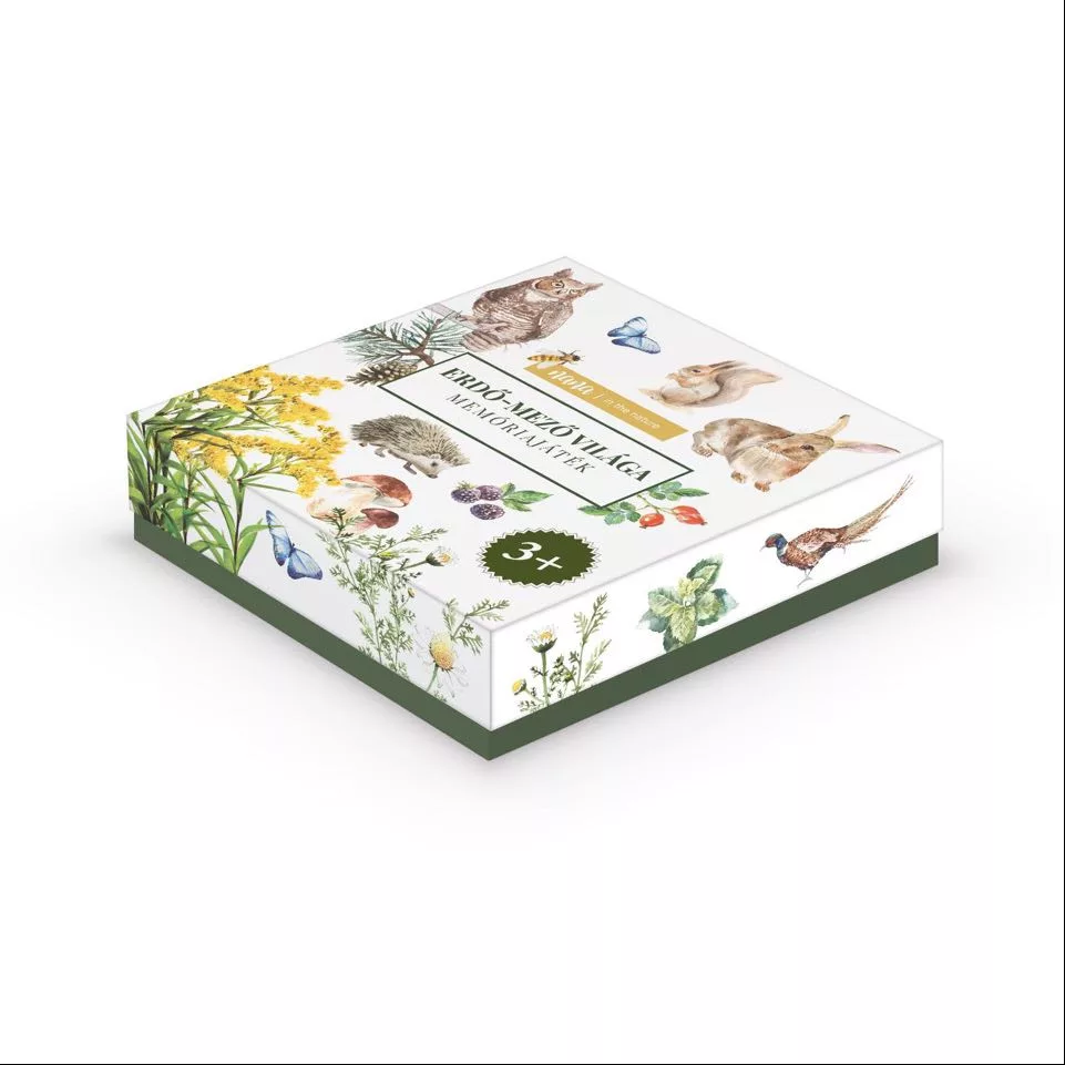 Forest-field world Memory game