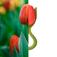 Oli&Carol® Theo The Tulip™ - rágóka-4